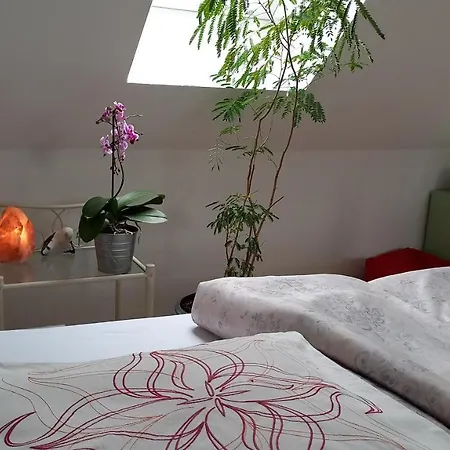 Agnes Vintage * 汉诺威