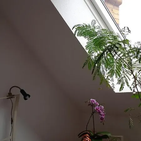 Agnes Vintage Ubytování v soukromí Hannover